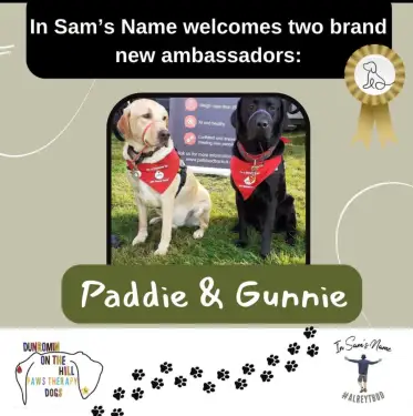 Click Here To Enlarge This Photo Of In Sam's Name x Dunromin Paw Therapy Dogs