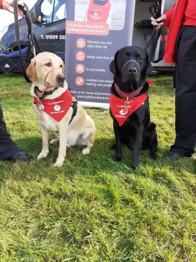 Click Here To Enlarge This Photo Of In Sam's Name x Dunromin Paw Therapy Dogs