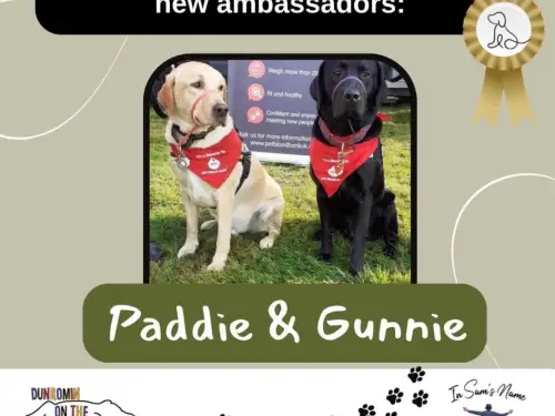 In Sam's Name x Dunromin Paw Therapy Dogs