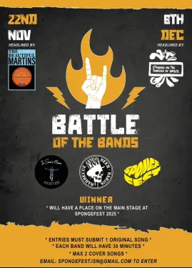 Click Here To Enlarge This Photo Of LOCAL BANDS/SOLO ARTISTS WE WANT YOU